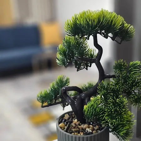 89 Lux Fundeni Bucareste