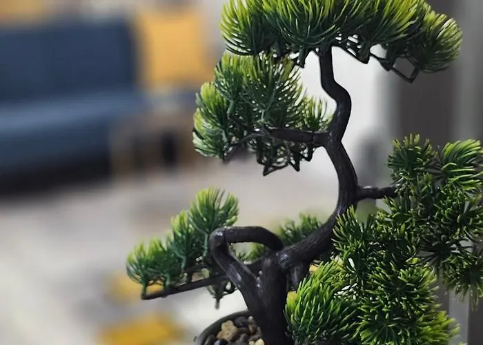 89 Lux Fundeni Bucureşti